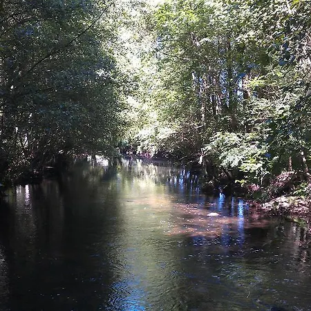 布拉索内斯旅馆