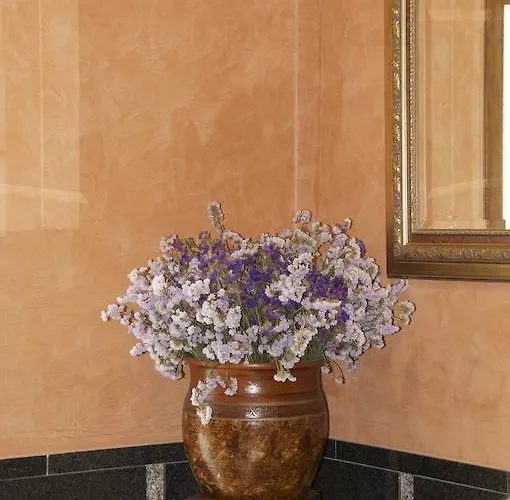 ゲストハウス ペンジョン ブラソネス サリア