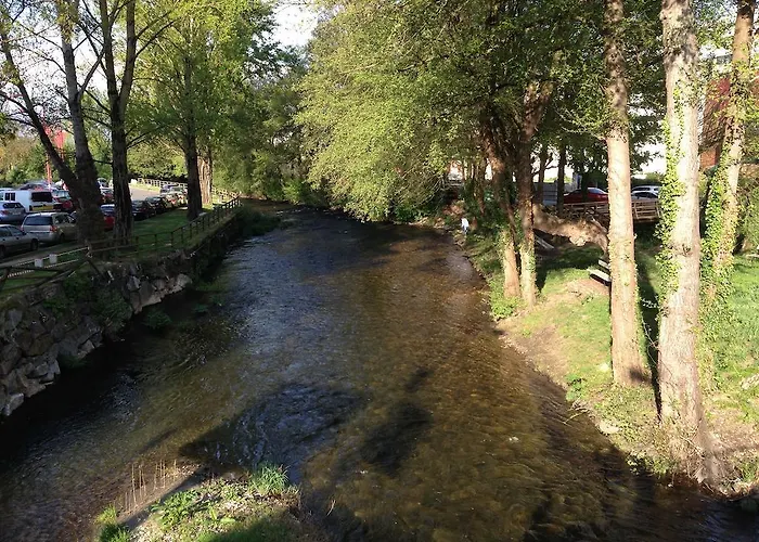 ゲストハウス ペンジョン ブラソネス