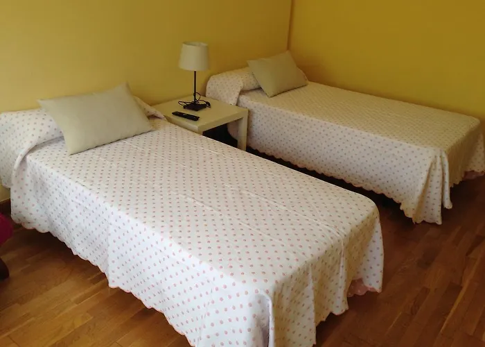 ゲストハウス ペンジョン ブラソネス *