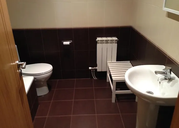 ゲストハウス ペンジョン ブラソネス *