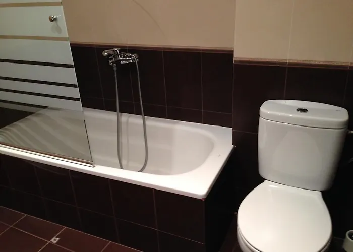 ペンジョン ブラソネス サリア